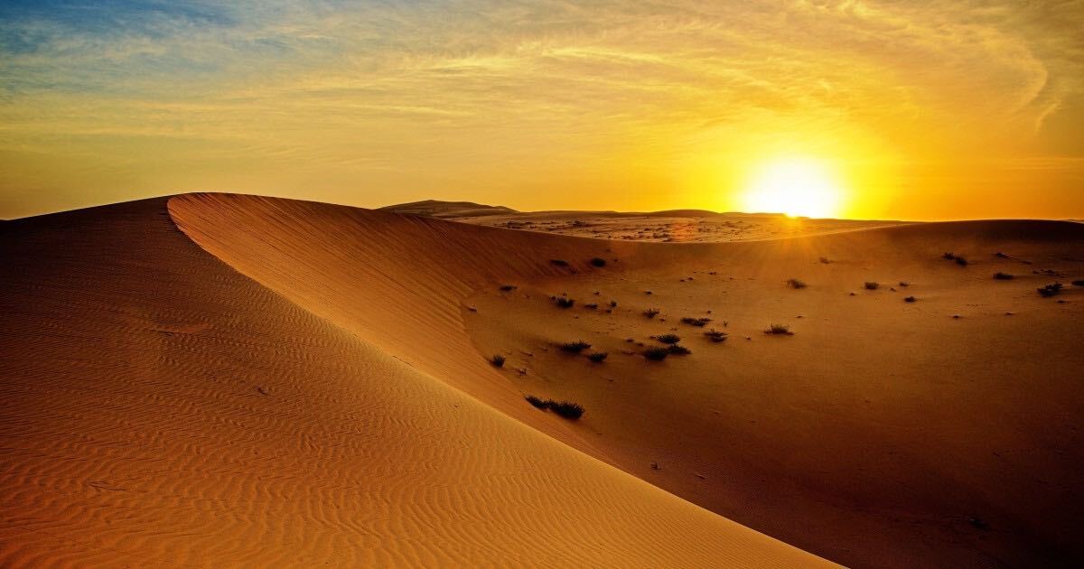 A beautiful desert